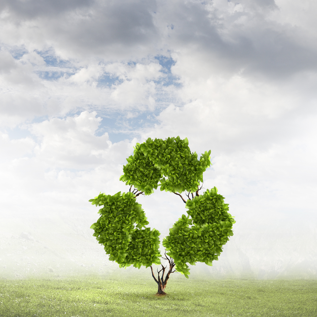 Recyceln von Textilien - Verfahren